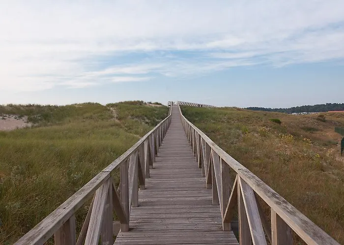 Hacienda De Arna 소모